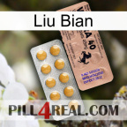 Liu Bian 41